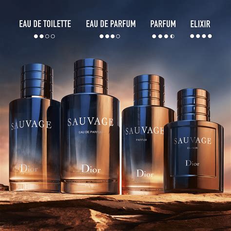 dior sauvage recension|dior sauvage review fragrantica.